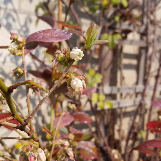 IMG_20180203_113356_991