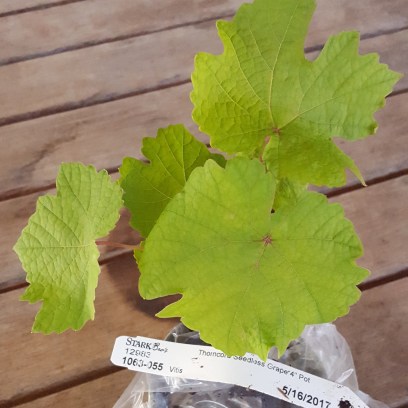 IMG_20180317_091310_413