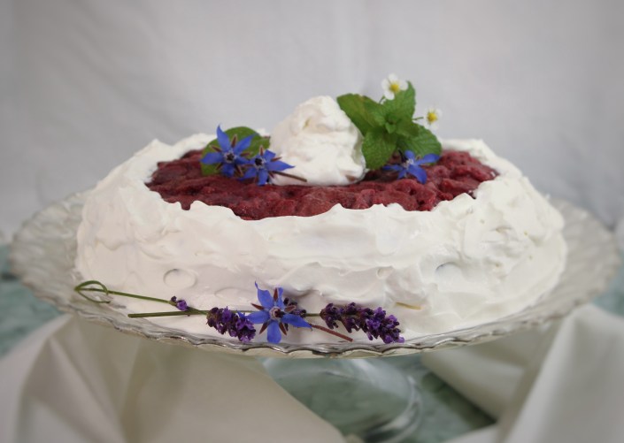 20230213132534_IMG_8174-01