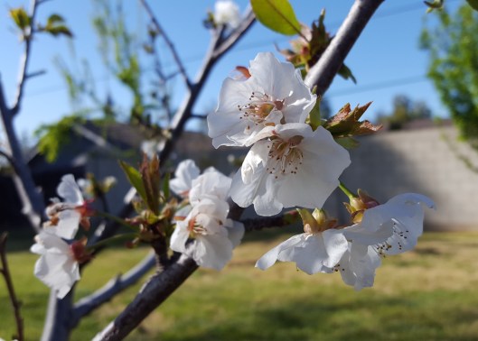 20190328_163010dtcfg