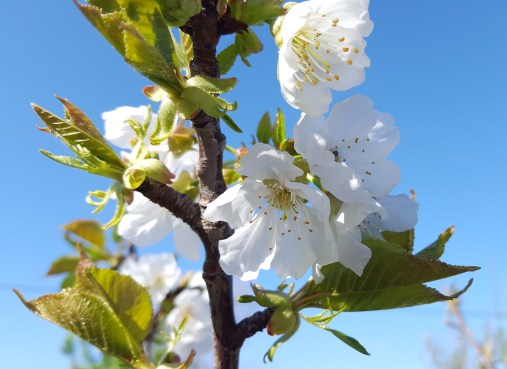 20190328_163026serdcfg