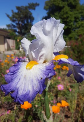 20190420_155803xdrtg