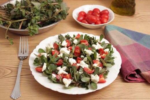 20200615111516_IMG_4286